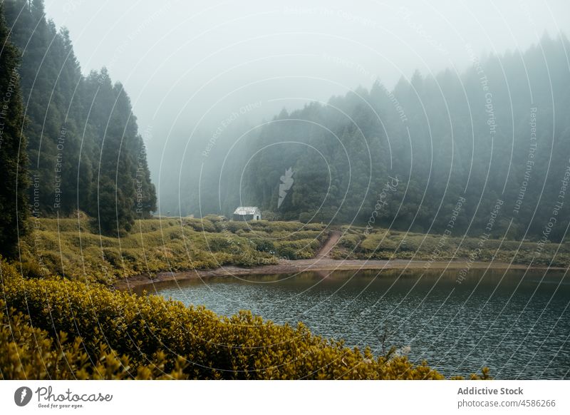 Lonely house near foggy lake and forest nature mist morning landscape tree water lakeside coniferous cabin azores sao miguel portugal picturesque calm silent