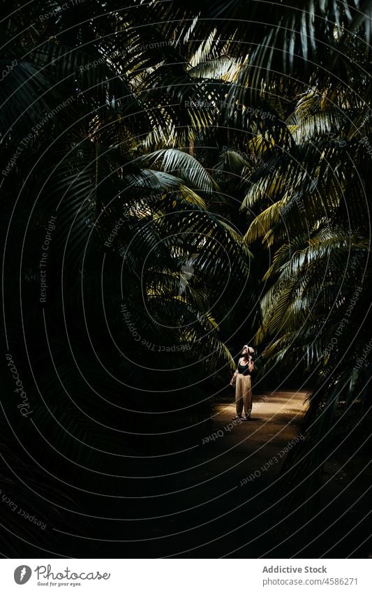 Woman standing among exotic trees woman palm tropical summer nature traveler path dark vacation female green plant azores sao miguel portugal journey flora