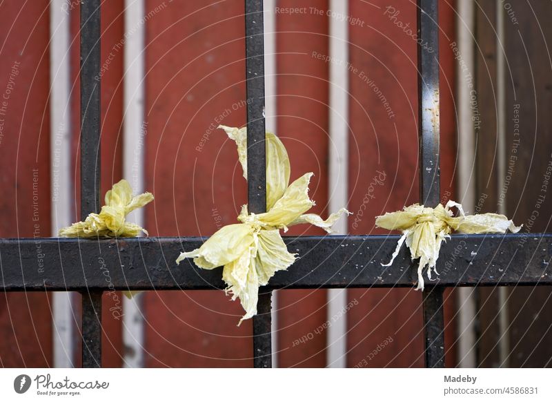 Torn pieces of paper with abbreviations on a black iron gate in the Galata district of Beyoglu in Istanbul on the Bosphorus in Turkey Paper Scrap of paper