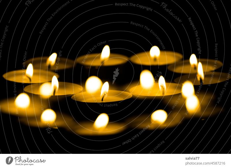 candlelight Light Christmas & Advent shoulder stand Candlelight Moody Warmth Flame Pensive Candle flame Illuminate Hope Dark Lighting Candlewick Meditation Wax