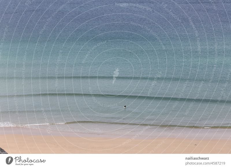 On the beach Surfing Surfers Paradise Waves Hiking Relaxation Day Colour photo Ocean Beautiful weather Sandy beach Environment Nature beach day Exterior shot