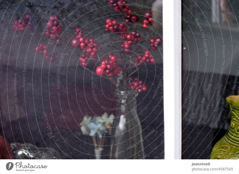 View into a window with a branch and red berries in a glass vase Window pane Still Life Twig Vase blurriness interior inward through the window through glass