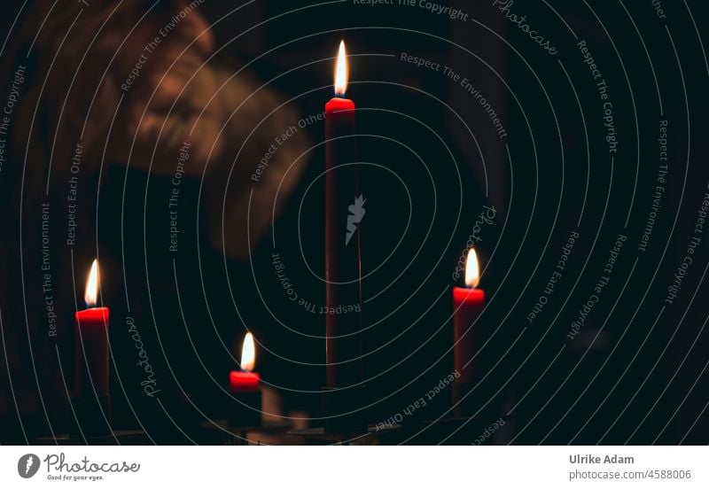 Inconspicuous in the background Christmassy four candles Advent Christmas & Advent Woman Long-haired Redheads Face Adults Feminine portrait Human being Smiling