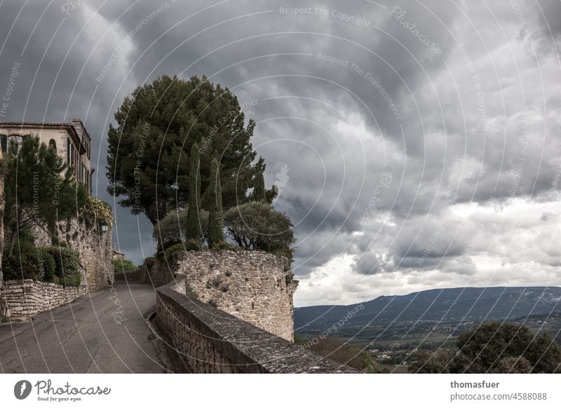 Pine tree, small cypress trees, old wall and house in front of clouds, sky in southern landscape Provence picturesque France Nature Colour photo Street