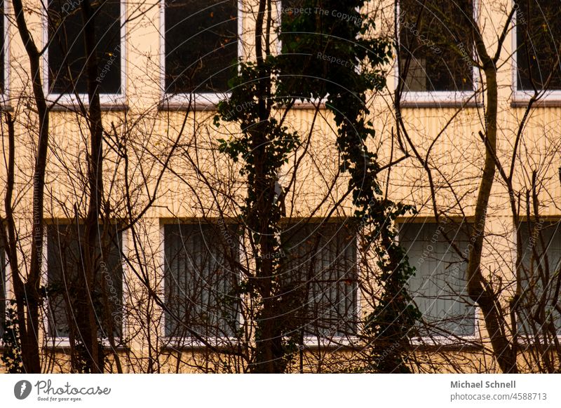 Trees in front of an office building Building House (Residential Structure) Deserted Architecture Facade Gloomy dreariness Winter