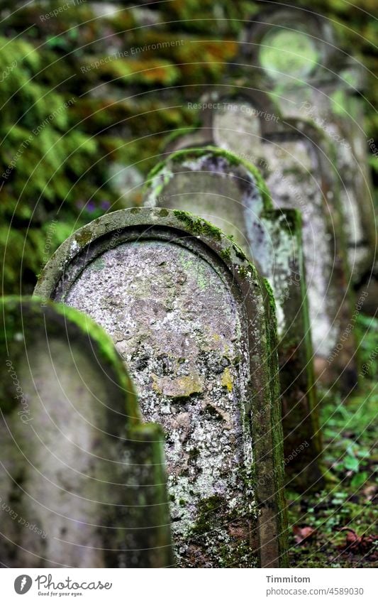 Memories. Thoughts and feelings. Live consciously. Cemetery Tombstone Grave Death Grief Transience Religion and faith Stone Eternity Peace Pain Hope Calm Old