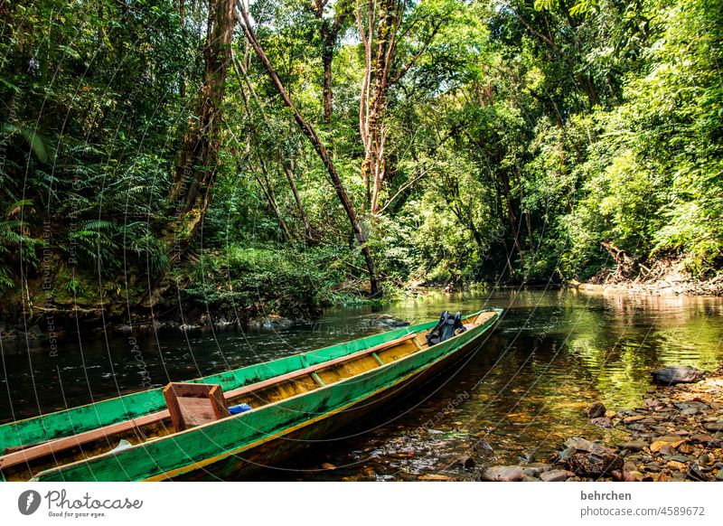 because it's the length that counts ;) Adventurer longboat Watercraft Impressive Authentic Freedom Wanderlust Exterior shot Borneo Malaya Iban vacation travel