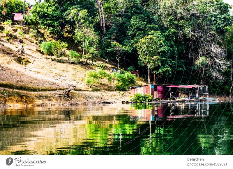 Borneo Sarawak Iban Gorgeous Impressive Idyll Wanderlust Asia Malaya Exceptional Far-off places Adventure River River bank Fantastic Landscape rainforest