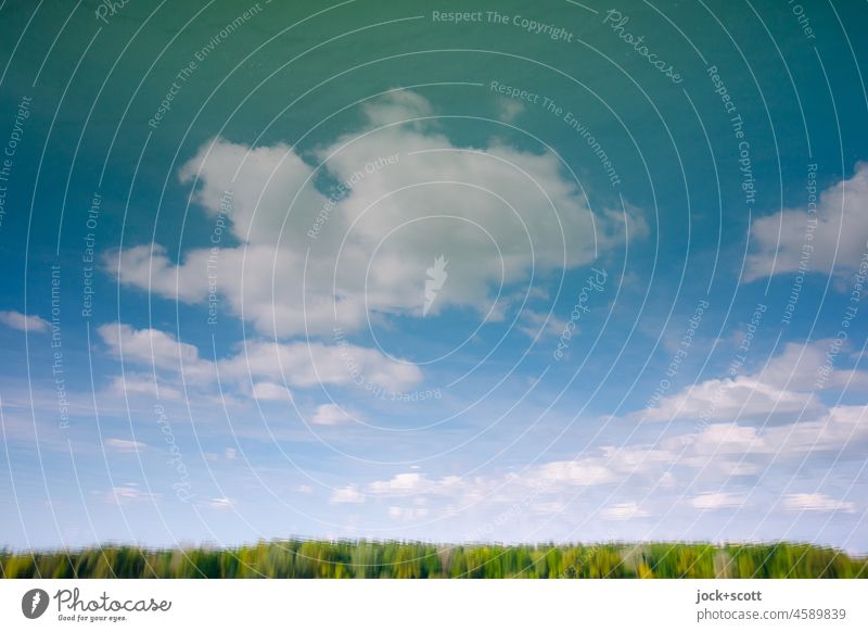 The fleeting beauty of the great pond Reflection & Reflection Water Sky Clouds Calm Nature Idyll Surface of water Water reflection Environment Beautiful weather