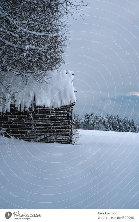 Snowy barn in alpine winter landscape, TIrol, Austria Winter Barn Alpine Alps Mountain Tree Christmas background House (Residential Structure) Nature Cold