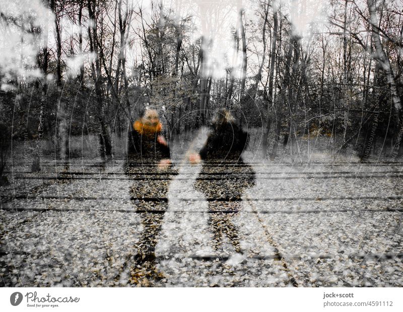 be on the lookout in every direction Woman rails Railroad tracks lost places bare trees Autumn foliage defocused blurriness crossed Reaction Silhouette