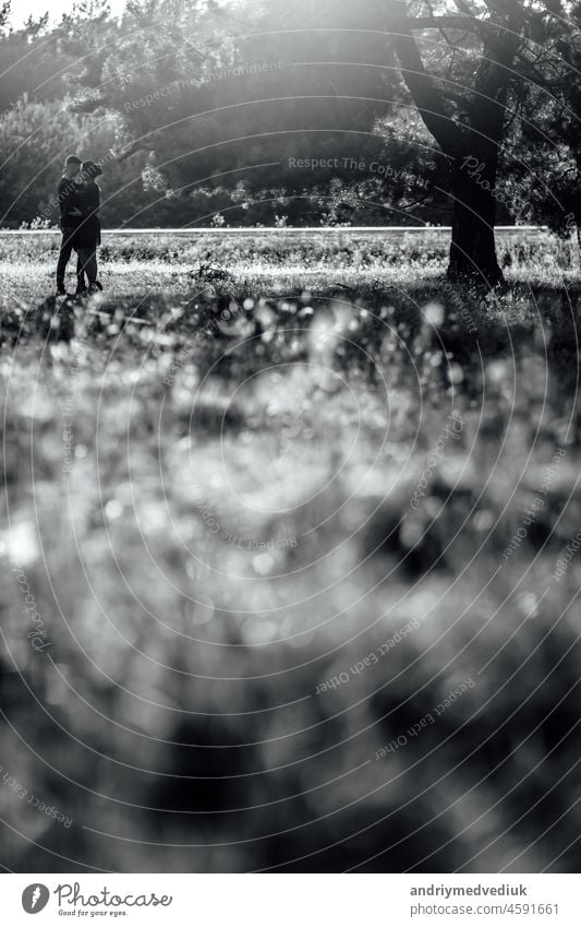 black and white photo. Young couple in love walking in the summer park holding hands. woman and man have a date outdoors. Romantic relationship. Valentines Day. selective focus