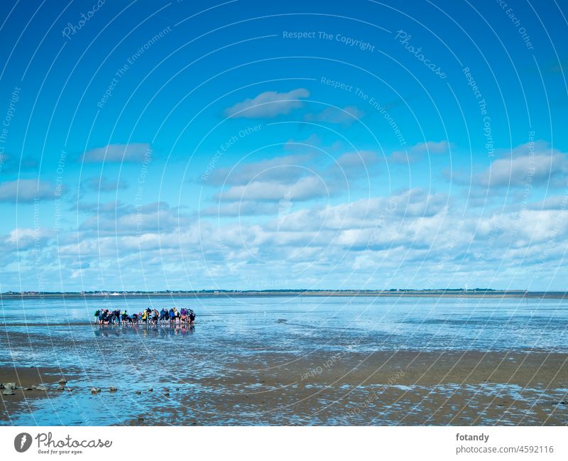 Mudflat hikers in East Frisia Bildung Führung Seminar draußen Landschaft Wattenmeer Nordseeküste Küste Deutschland Gruppe Menschengruppe Wattwanderung Gezeiten