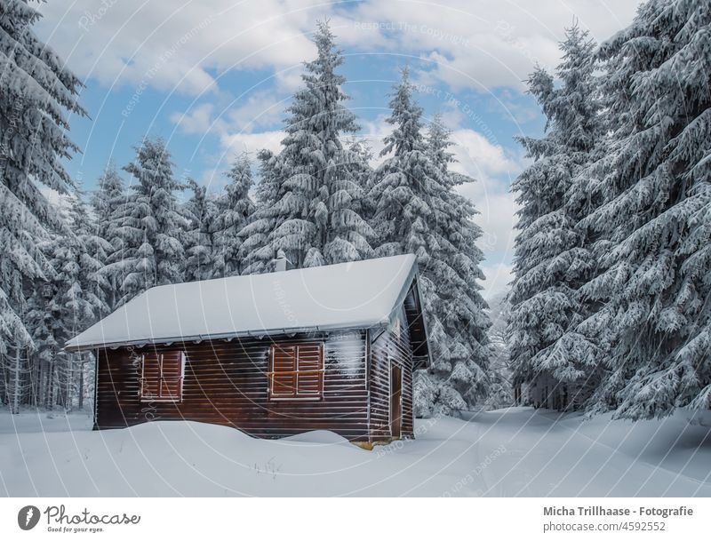 Cottage in the snow-covered forest Thuringia Thueringer Wald Rennsteig Schneekopf Snow snowy Winter Wooden hut Hut winter landscape refuge trees Forest Sky