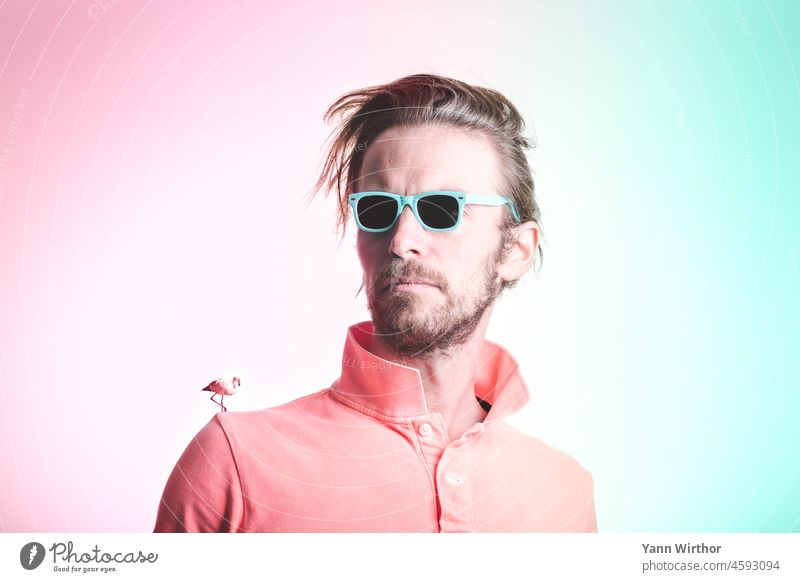 Portrait of bearded man in pink polo shirt with light blue sunglasses having a flamingo on his shoulder on pastel background adult color colour long hair look