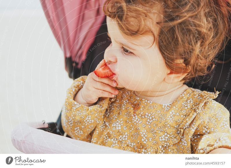 Little baby girl eating a strawberry blw feed fruit learn life face adorable lovely parenting child toddler babyhood nutrition care vitamin delicious temptation