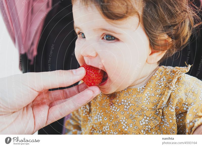 Little baby girl eating a strawberry blw feed fruit learn life face adorable lovely parenting child toddler babyhood nutrition care vitamin delicious temptation