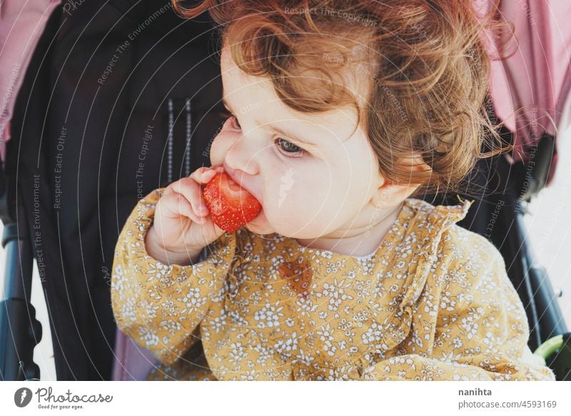 Little baby girl eating a strawberry blw feed fruit learn life face adorable lovely parenting child toddler babyhood nutrition care vitamin delicious temptation