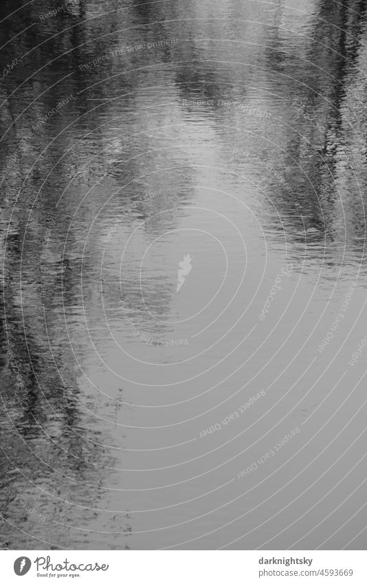 Reflection of trees in a calm, quiet, gently flowing surface of water WinterMirror reflection Water Exterior shot Nature Reflection in the water Landscape