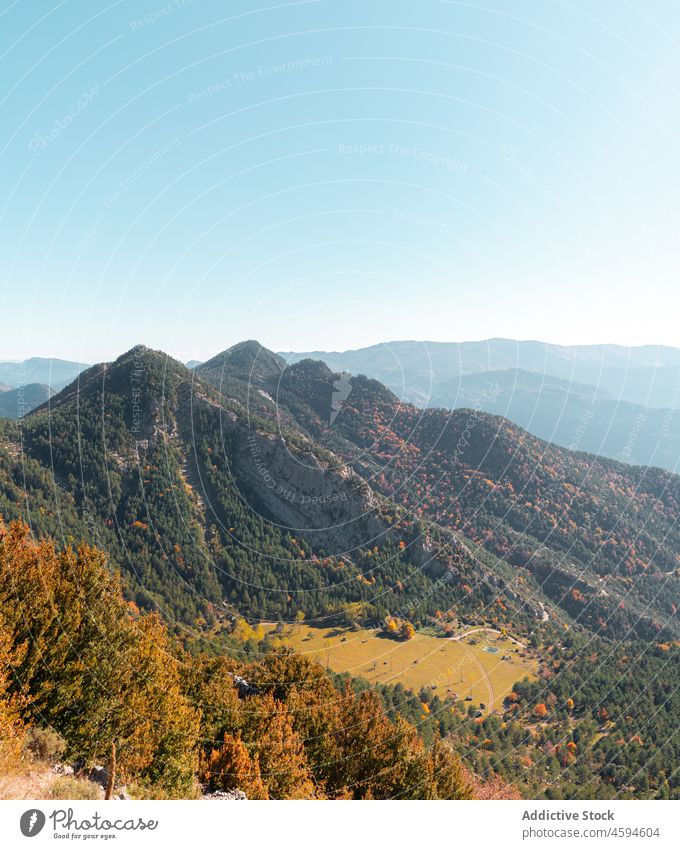 Picturesque view of mountain ridge covered with lush forest nature scenery hill landscape highland amazing scenic picturesque road trip idyllic rock