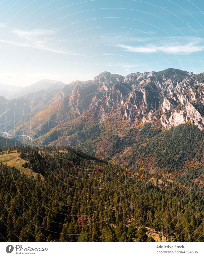 Picturesque view of mountain ridge covered with lush forest nature scenery hill landscape highland amazing scenic picturesque road trip idyllic rock