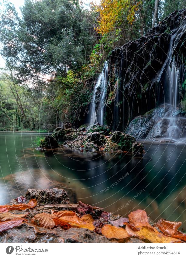 Amazing view of waterfall in mountains in woods nature forest landscape stream formation flow picturesque scenic rocky scenery cascade lush stone green tree