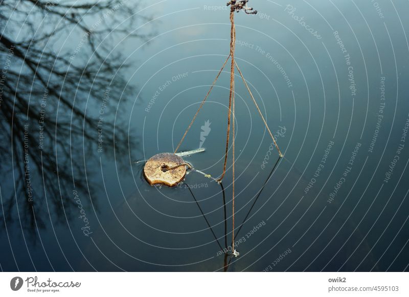 float Fishing float Part Working equipment Exterior shot Detail Deserted Colour photo Workplace Idyll Under Rope Water Nature Environment Fishing rod