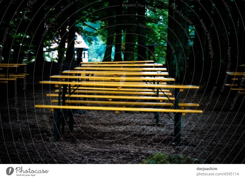 The beauty in the eye of the beholder / The table sets are all still empty.They are waiting in the middle of the shady forest for the guests. tables Gastronomy