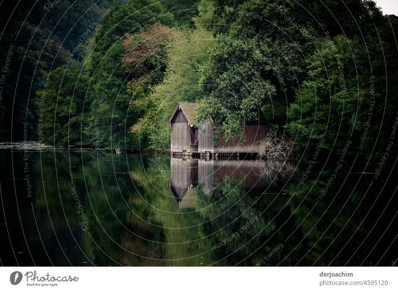 Reflection at a forest lake, with wooden hut and a lot of forest. spieglung Water Green Nature Blue Wet Sky Summer Drops of water Rain Light Tree Detail