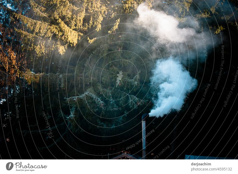 Smoke signals at the edge of the forest. The sausage stand at the edge of the forest emits white clouds of smoke from its chimney. The whole is flooded by some sunlight.