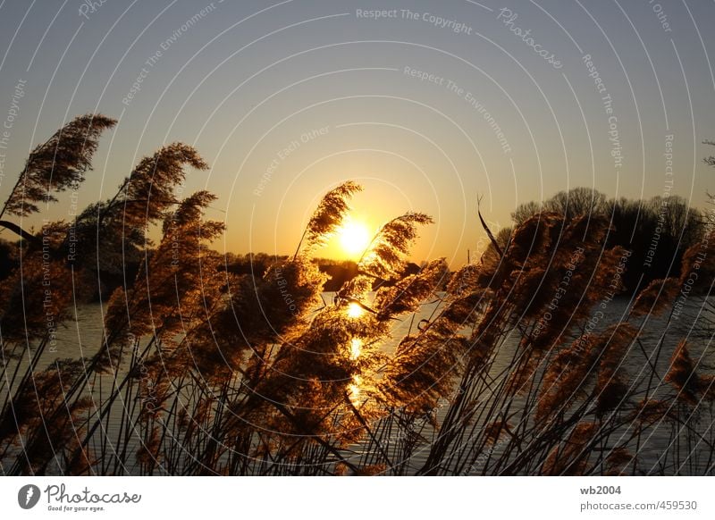 Sunset Nature Landscape Water Sky Sunrise Sunlight Spring Beautiful weather Horizon Colour photo Exterior shot Twilight Back-light Long shot