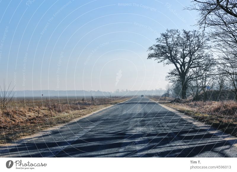 a country road in winter. On the left an empty field, on the right a few bare trees . Poland Street Winter Colour photo Country road Deserted Landscape Tree