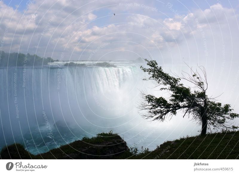 the falls Environment Nature Landscape Elements Water Sky Clouds Horizon Summer Tree Canyon River bank Waterfall Niagara Falls (USA) Niagara river Aggression