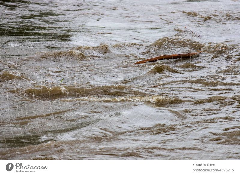 Flotsam after high water on the river Water Flood River Current Driftwood High tide inundation