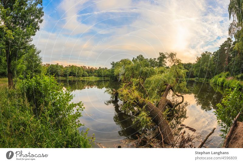 Peaceful scene from lovely small lake near Frankfurt in twillight germany Hesse rhine main area Moerfelden Walldorf Moerfelden-Walldorf recreation area