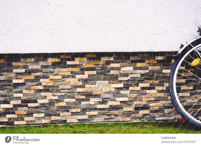 Autumn still life: a bicycle leaning against a wall with colorful stones and a little lawn in front of it Autumnal autumn colours Bicycle rear wheel Orange