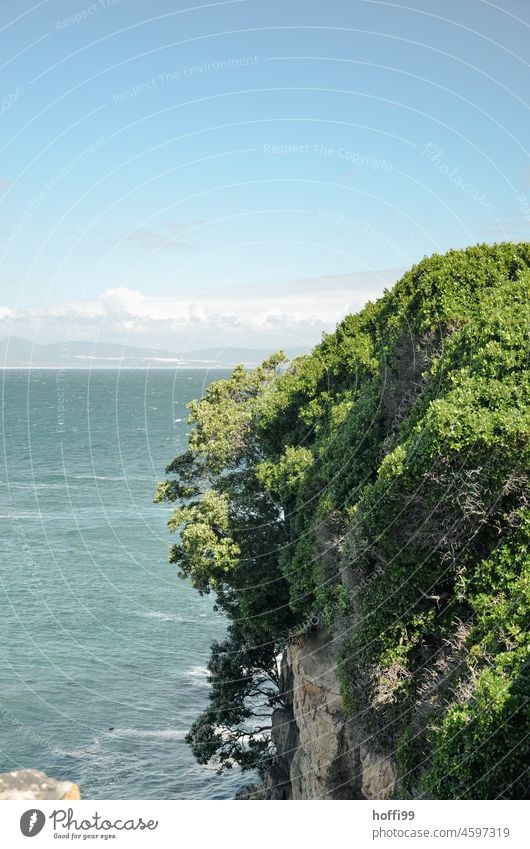 View of the sea, hidden by a green rock sea view rocky coast Rock Horizon steep coast Steep coast by the sea cliffs wide tranquillity silent Cliff Island Water