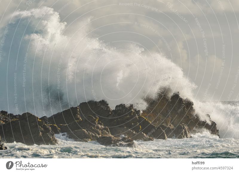 Cliffs as breakwaters in front of the coast with high spray Surf Rock Gigantic cliffs high waves Gush of water Waves Swell White crest Energy Wall of water