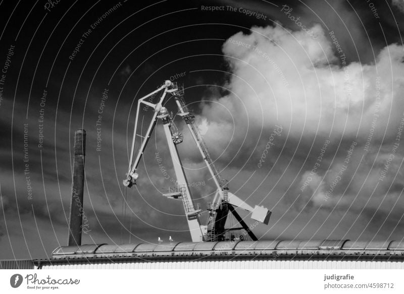 Crane in front of cloud Dockside crane Roof Maritime Harbour Industry Logistics Sky Clouds construction Consign Navigation Economy Dramatic ghostly Contrast