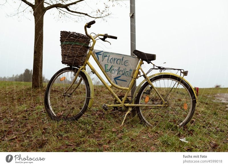 A bicycle to guide the way... Hippie power Bicycle Workshop Lifestyle Employees &amp; Colleagues Repair center floral Maintenance Service Small Business people