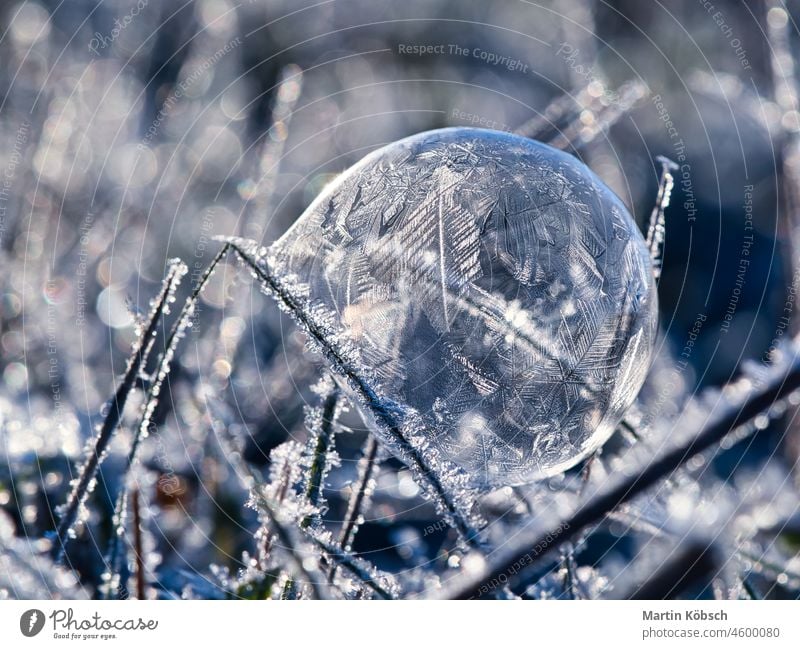 soap bubble on which ice crystals have formed due to the frost. in the light of the setting sun. soap bubbles crystal ball frozen winter cold sunlight detail