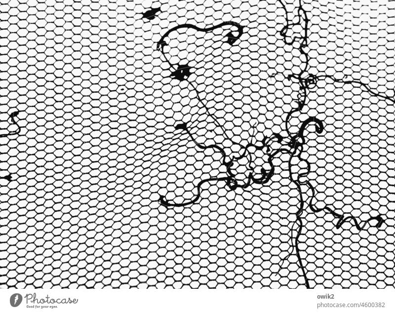 remnants Fly screen fly protection Net dilapidated Old Gauze Protection Plastic Black & white photo Remains Segments Surface structure Window hexagons Easy