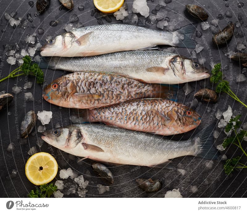 Assorted raw fish and mussels placed on table with lemons and herbs seafood ice fresh dinner cuisine ingredient meal prepare cook healthy food gourmet culinary