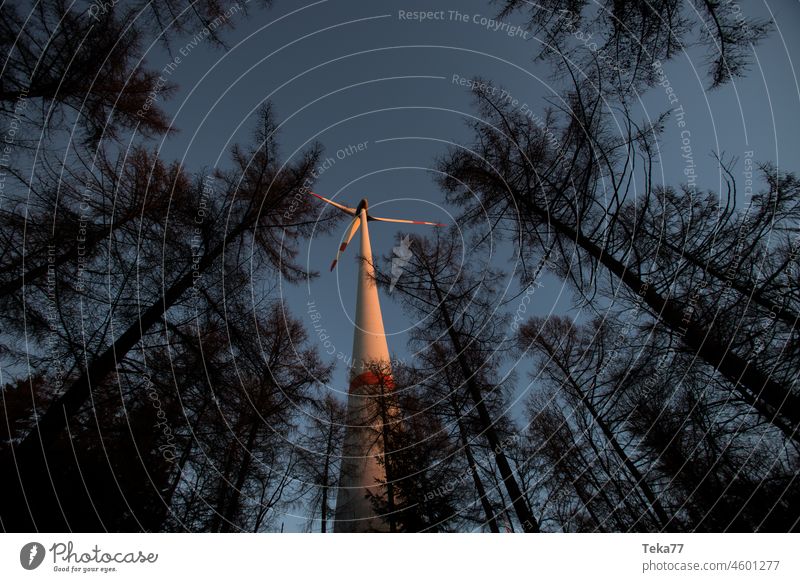 Evening sun windmill #1 Pinwheel Winter Sun Wind wind power Tower trees Forest Sky Light Air green energy