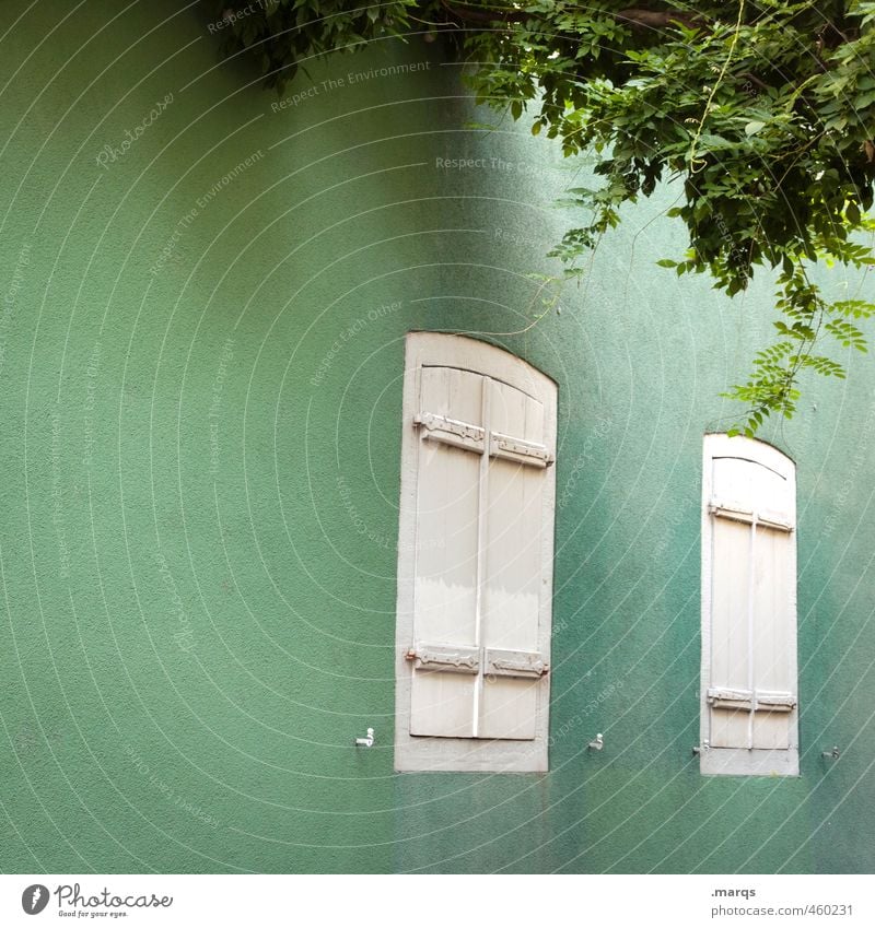 Close the flap Bushes Freiburg im Breisgau Old town House (Residential Structure) Facade Window Shutter Simple Historic Beautiful Green White Colour Perspective