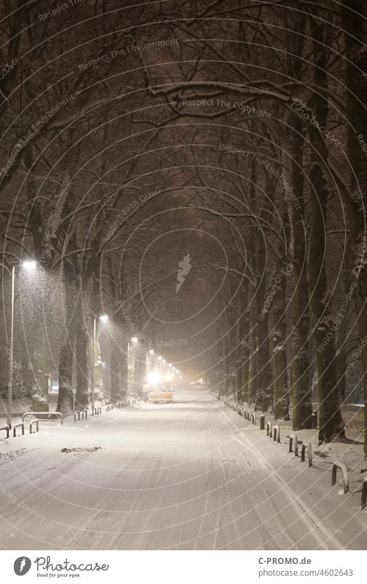 Winter onset in city Street vehicles Town onset of winter lanterns Light Night snow-covered Floodlight winter tyres Smoothness Snowfall snow chaos trees Avenue