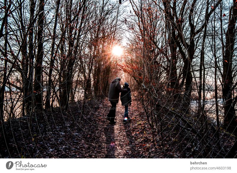 autumn hiker leaves Autumnal weather Autumnal landscape Automn wood Sun Idyll autumn walk Autumnal colours autumn mood Seasons Autumn leaves Beautiful weather