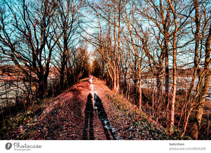 shadow plays at the same time Together in common Couple Shadow Autumnal landscape Autumnal weather falling leaves Sunlight Contrast Light Exterior shot