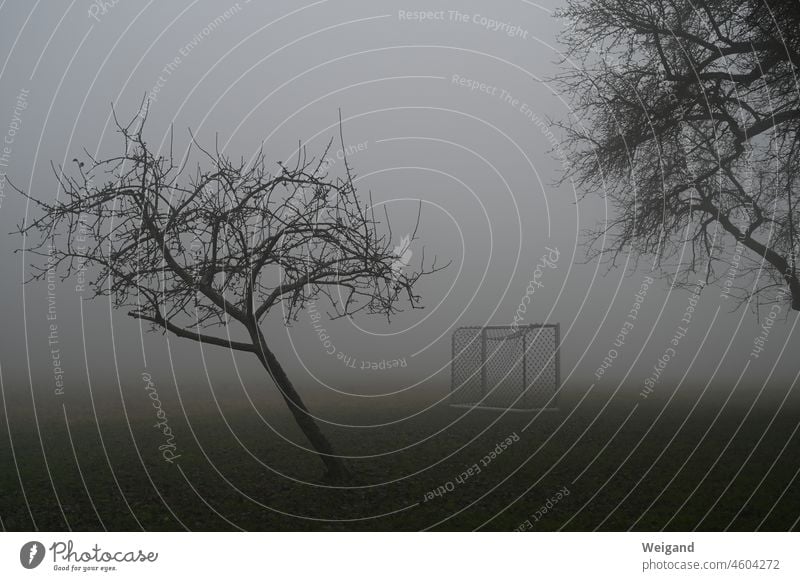 Football pitch in the fog somber Goal Gloomy bleak Autumn Winter Fog Eerie forsake sb./sth. Lonely