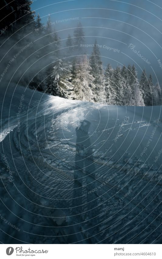 Shadow of the photographer on snow. Traces of the drive caterpillars of a snowmobile. Snow Snowscape Cold Frost Uniqueness Exceptional Winter vacation naturally